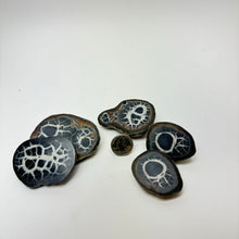 Load image into Gallery viewer, Septarian Slice | 60-80mm | Morocco