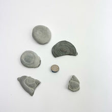 Load image into Gallery viewer, Fairy Stone Concretion | Quebec, Canada