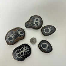 Load image into Gallery viewer, Septarian Slice | 60-80mm | Morocco