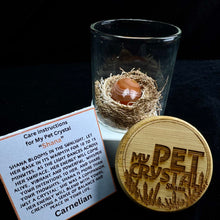 Load image into Gallery viewer, My Pet Crystal