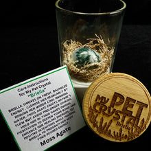 Load image into Gallery viewer, My Pet Crystal