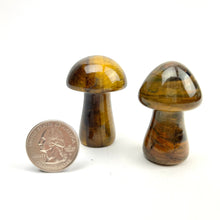 Load image into Gallery viewer, Magic Mushrooms | 50mm | Single