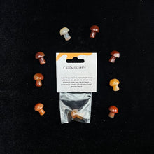 Load image into Gallery viewer, Apparently These Mushrooms...