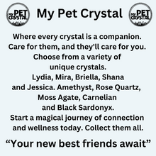 Load image into Gallery viewer, My Pet Crystal