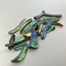 Load image into Gallery viewer, Abalone Rims | 25-50mm | 50 Grams | New Zealand