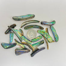 Load image into Gallery viewer, Abalone Rims | 25-50mm | 50 Grams | New Zealand