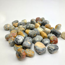 Load image into Gallery viewer, Maligano Jasper | 20-30mm | 100 Grams