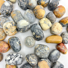 Load image into Gallery viewer, Maligano Jasper | 20-30mm | 100 Grams