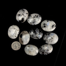 Load image into Gallery viewer, Crystal Polished Palmstone | 30-40mm | "A" Grade | India