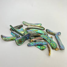 Load image into Gallery viewer, Abalone Rims | 25-50mm | 50 Grams | New Zealand