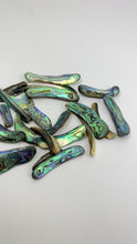 Load and play video in Gallery viewer, Abalone Rims | 25-50mm | 50 Grams | New Zealand