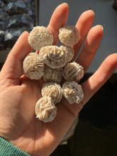 Load image into Gallery viewer, Desert Rose Selenite | Morocco