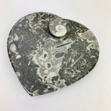 Load image into Gallery viewer, Fossil Heart Dish | 100mm | Morocco