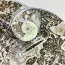 Load image into Gallery viewer, Fossil Heart Dish | 100mm | Morocco