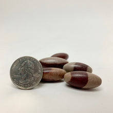 Load image into Gallery viewer, Shiva Lingam "Narmada" | India | Choose a Size!