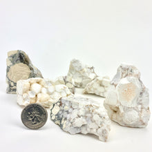 Load image into Gallery viewer, Spotted Agate Conglomerate | India