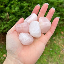 Load image into Gallery viewer, Rose Quartz | Tumbled | Kilo | Brazil
