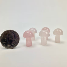Load image into Gallery viewer, Mini Magic Mushrooms | 20mm