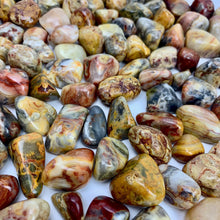 Load image into Gallery viewer, Yellow Crazy Lace Agate | 10-20mm | Mexico