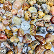 Load image into Gallery viewer, Yellow Crazy Lace Agate | 10-20mm | Mexico