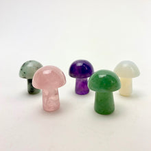 Load image into Gallery viewer, Mini Magic Mushrooms | 20mm