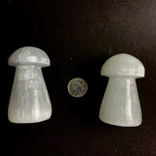 Load image into Gallery viewer, *Selenite Mushroom | Morocco