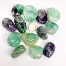 Load image into Gallery viewer, Fluorite | "A" Grade | Tumbled | Natural Palmstone | 40-60mm