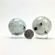 Load image into Gallery viewer, Rainbow Moonstone | Sphere | 45-60mm | India