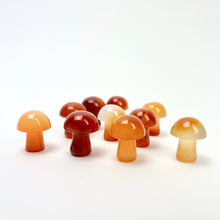 Load image into Gallery viewer, Mini Magic Mushrooms | 20mm