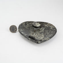 Load image into Gallery viewer, Fossil Heart Dish | 100mm | Morocco