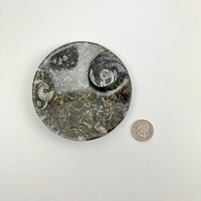 Load image into Gallery viewer, Fossil Round Dish | 100mm | Morocco