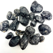 Load image into Gallery viewer, Apache Tears | Rough | 20-40mm | Arizona