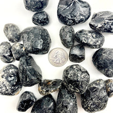 Load image into Gallery viewer, Apache Tears | Rough | 20-40mm | Arizona