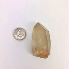 Load image into Gallery viewer, Smoky Lemurian Seed Quartz | Rough Points