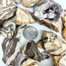 Load image into Gallery viewer, Zebra Jasper Brazil Rough 1-1.5 " size 1 lb bag