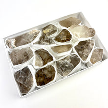 Load image into Gallery viewer, Elestial Quartz | Rough | Brazil | 1/2 flat case