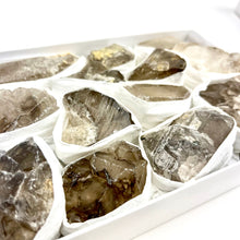 Load image into Gallery viewer, Elestial Quartz | Rough | Brazil | 1/2 flat case