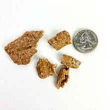 Load image into Gallery viewer, Fulgurite - FOSSILIZED LIGHTNING | Morocco