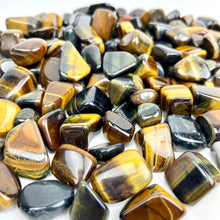 Load image into Gallery viewer, Blue Tiger Eye | Tumbled | South Africa