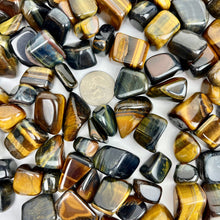 Load image into Gallery viewer, Blue Tiger Eye | Tumbled | South Africa
