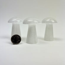 Load image into Gallery viewer, *Selenite Mushroom | Morocco