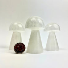 Load image into Gallery viewer, *Selenite Mushroom | Morocco