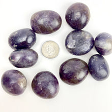Load image into Gallery viewer, Lepidolite | Palmstone | 40-50mm
