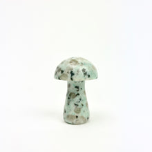 Load image into Gallery viewer, Magic Mushrooms | 50mm | Single
