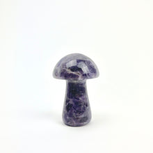 Load image into Gallery viewer, Magic Mushrooms | 50mm | Single