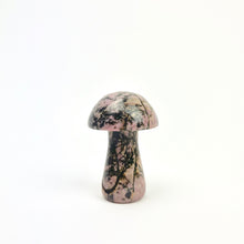 Load image into Gallery viewer, Magic Mushrooms | 50mm | Single