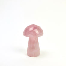 Load image into Gallery viewer, Magic Mushrooms | 50mm | Single