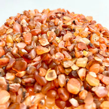 Load image into Gallery viewer, Carnelian | Tumbled Chips | 1lb | 4-7mm | India