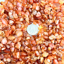 Load image into Gallery viewer, Carnelian | Tumbled Chips | 1lb | 4-7mm | India