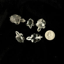 Load image into Gallery viewer, Crystal Carved Turtle | 20-30mm | Brazil  | Choose a Stone!